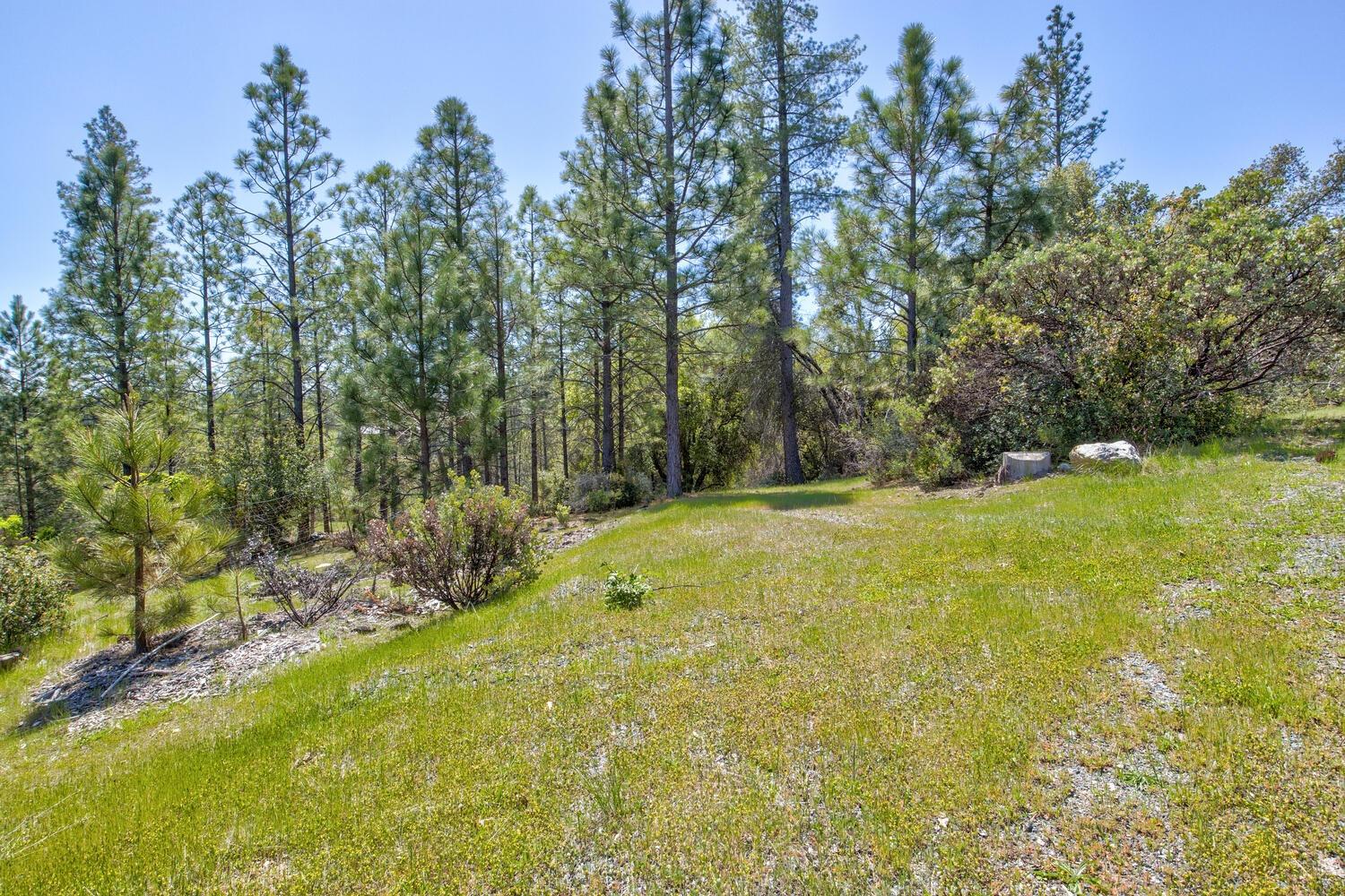Detail Gallery Image 60 of 76 For 9413 E Ponderosa Way, Coulterville,  CA 95311 - 3 Beds | 2 Baths