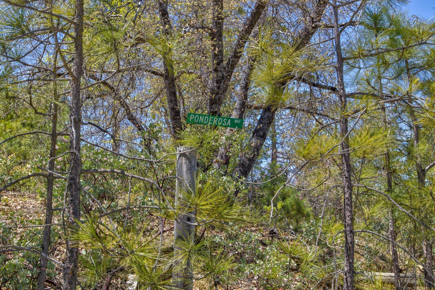 Detail Gallery Image 52 of 76 For 9413 E Ponderosa Way, Coulterville,  CA 95311 - 3 Beds | 2 Baths