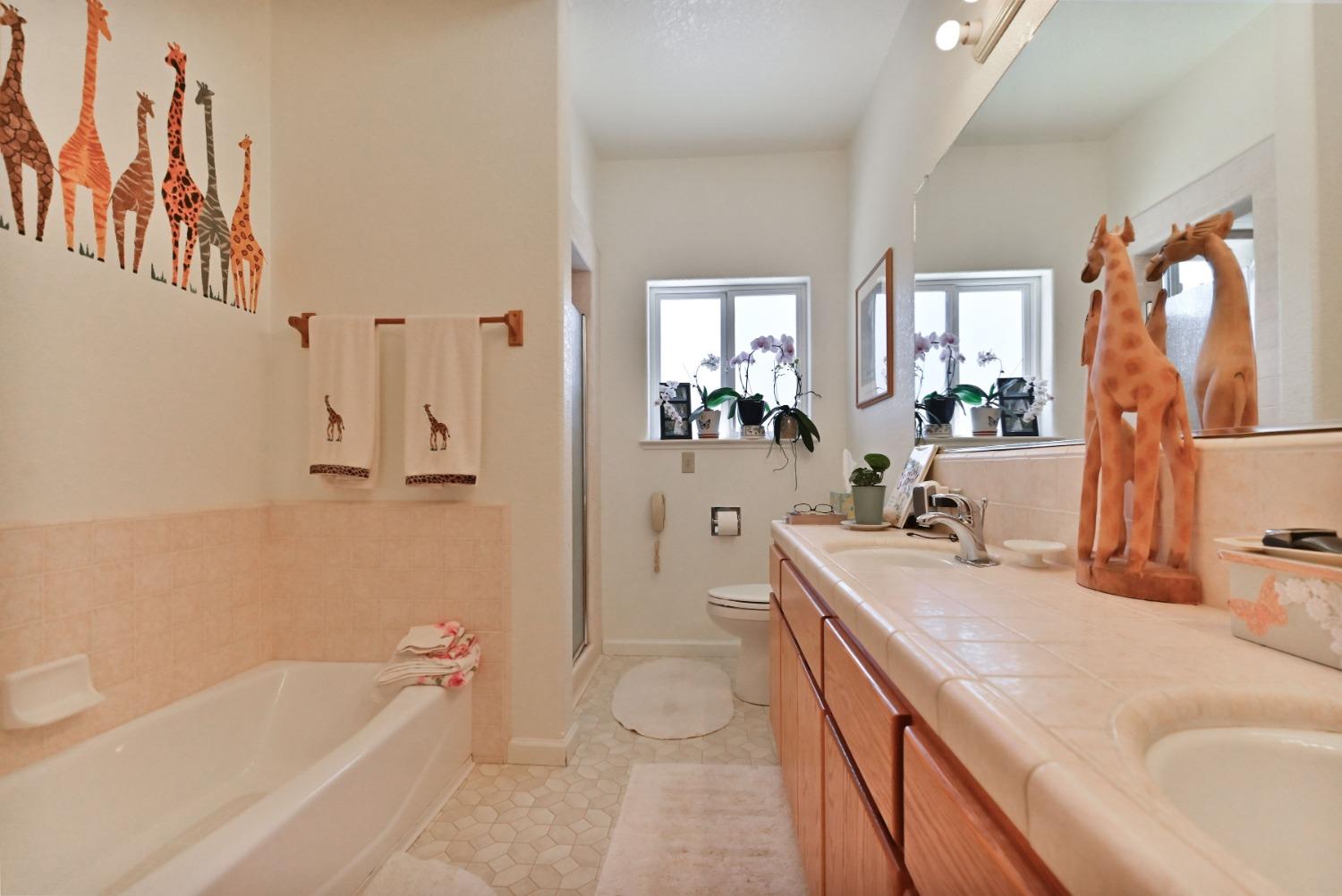 Detail Gallery Image 51 of 67 For 5409 Stagecoach Hill Rd, Mountain Ranch,  CA 95246 - 3 Beds | 2/1 Baths