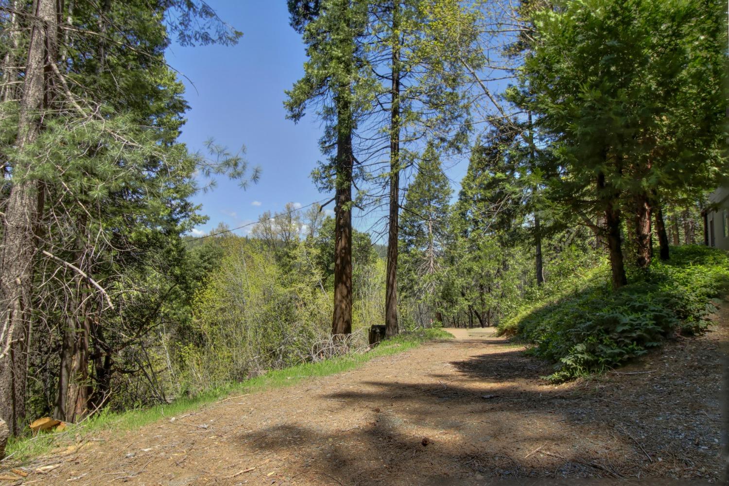 Detail Gallery Image 63 of 85 For 26601 High Trees Dr, Pioneer,  CA 95666 - 2 Beds | 1 Baths