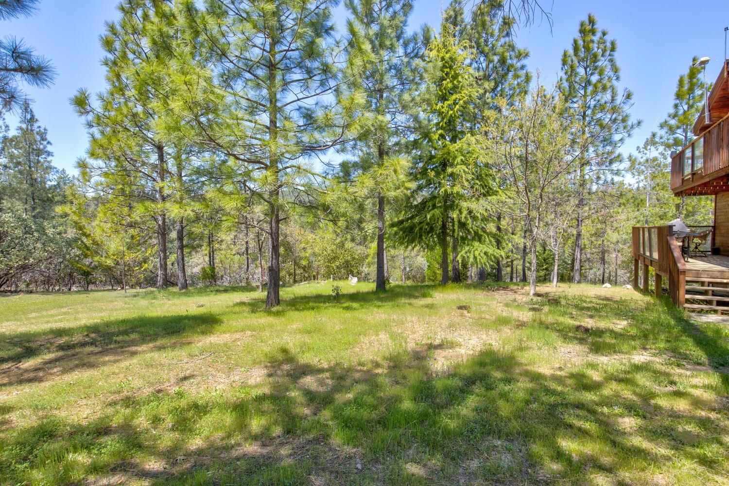 Detail Gallery Image 43 of 76 For 9413 E Ponderosa Way, Coulterville,  CA 95311 - 3 Beds | 2 Baths