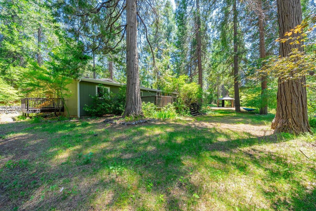 Detail Gallery Image 59 of 62 For 450 Bottle Hill Rd, Georgetown,  CA 95634 - 3 Beds | 2 Baths