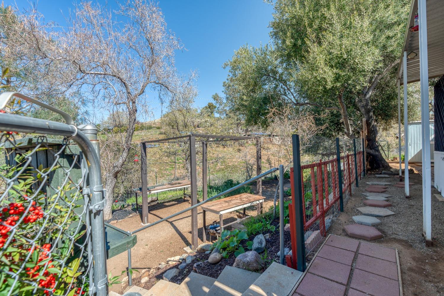 Balsam Drive, Bodfish, California image 31