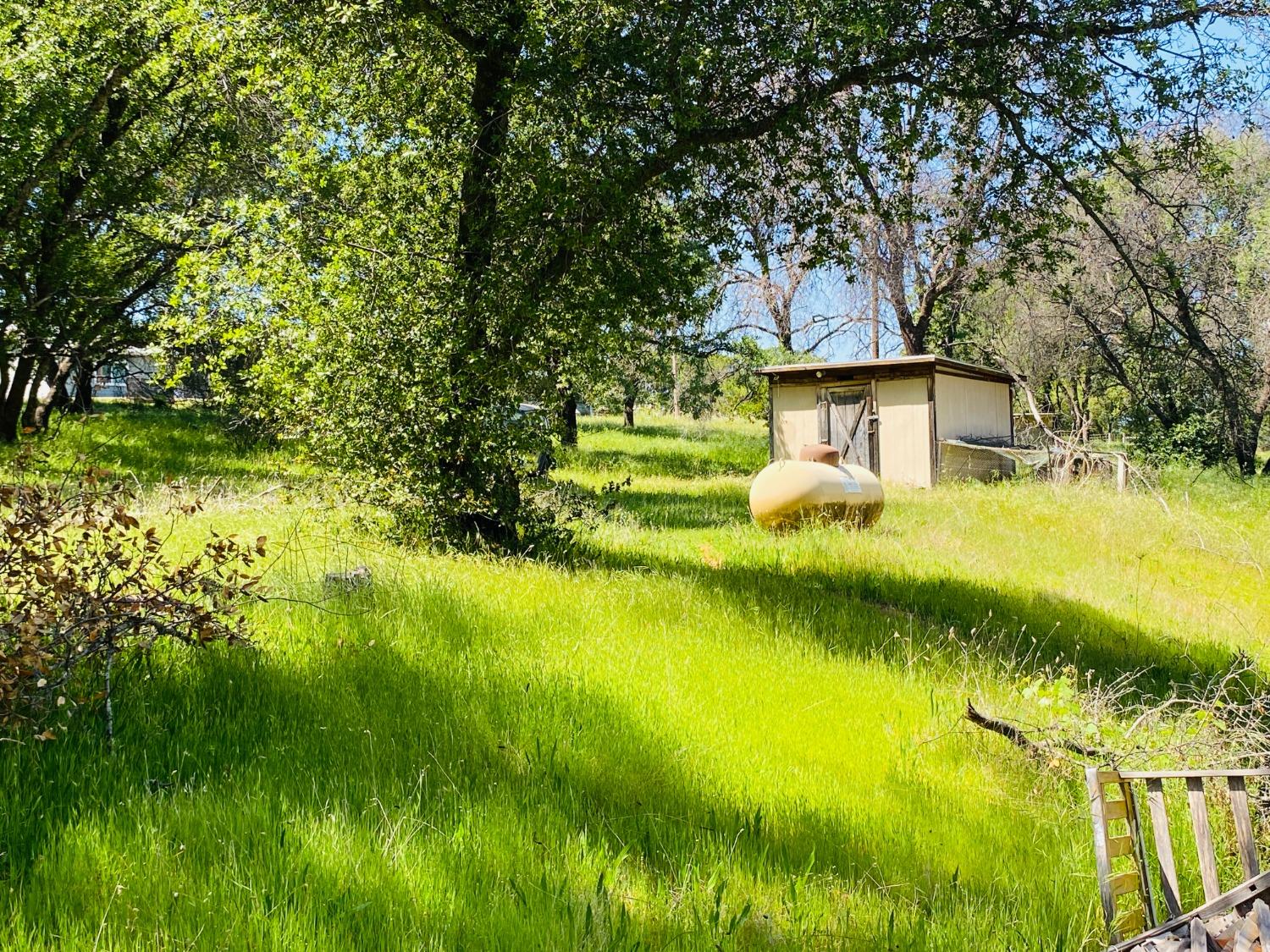 Marcos Lane, Marysville, California image 6