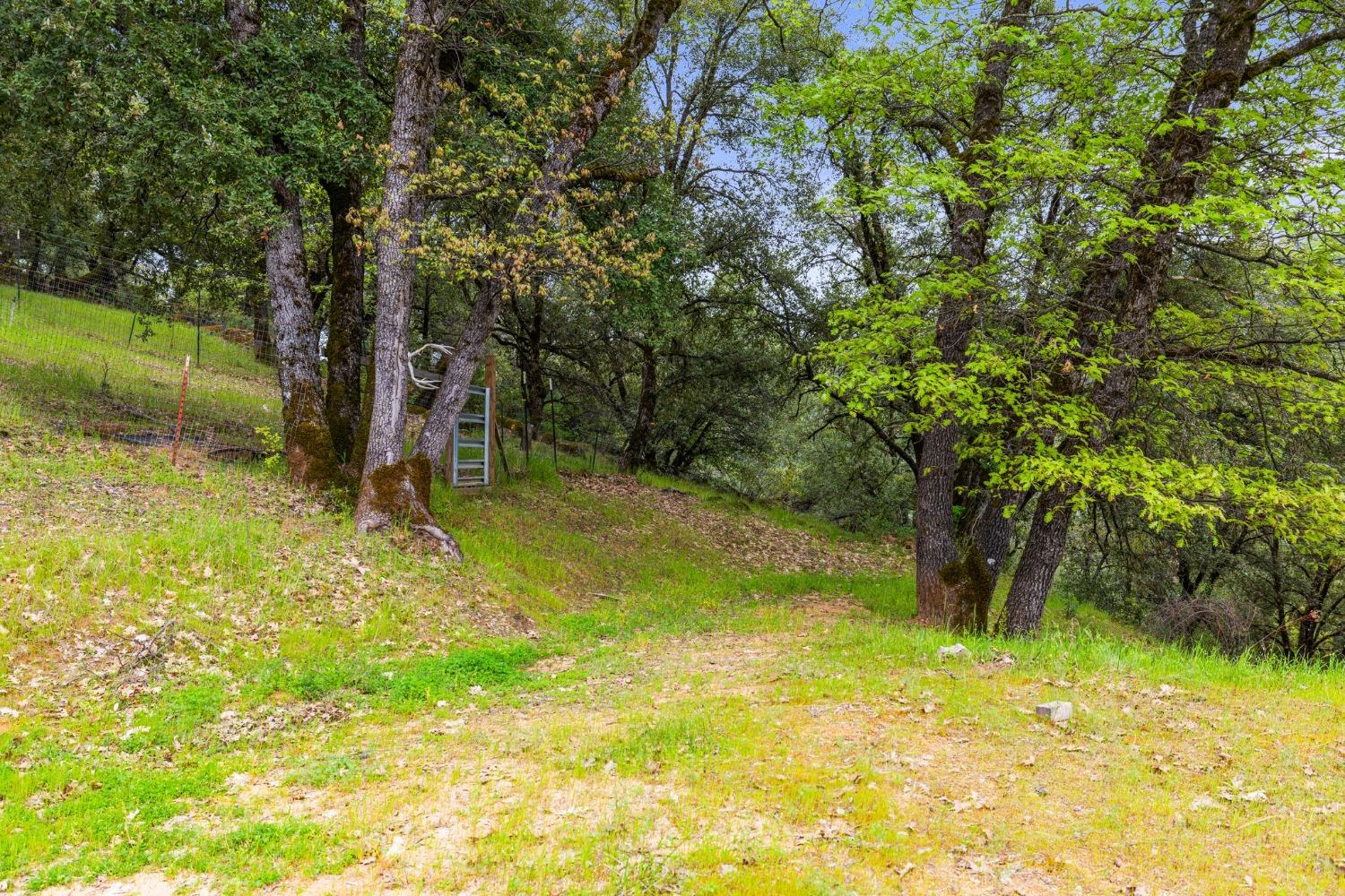 Detail Gallery Image 19 of 90 For 6432 Happy Valley Rd, Somerset,  CA 95684 - 4 Beds | 2/1 Baths