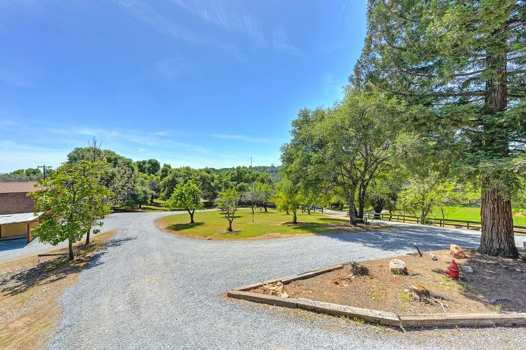Detail Gallery Image 59 of 81 For 4875 Silk Tree Ln, Cool,  CA 95614 - 2 Beds | 2 Baths
