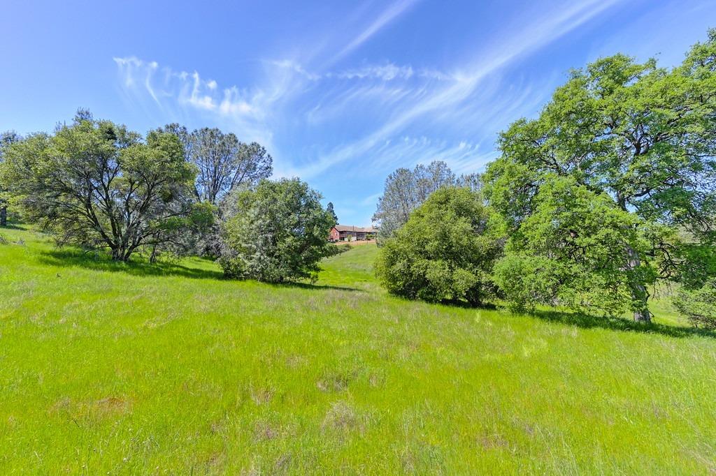 Detail Gallery Image 74 of 81 For 4875 Silk Tree Ln, Cool,  CA 95614 - 2 Beds | 2 Baths