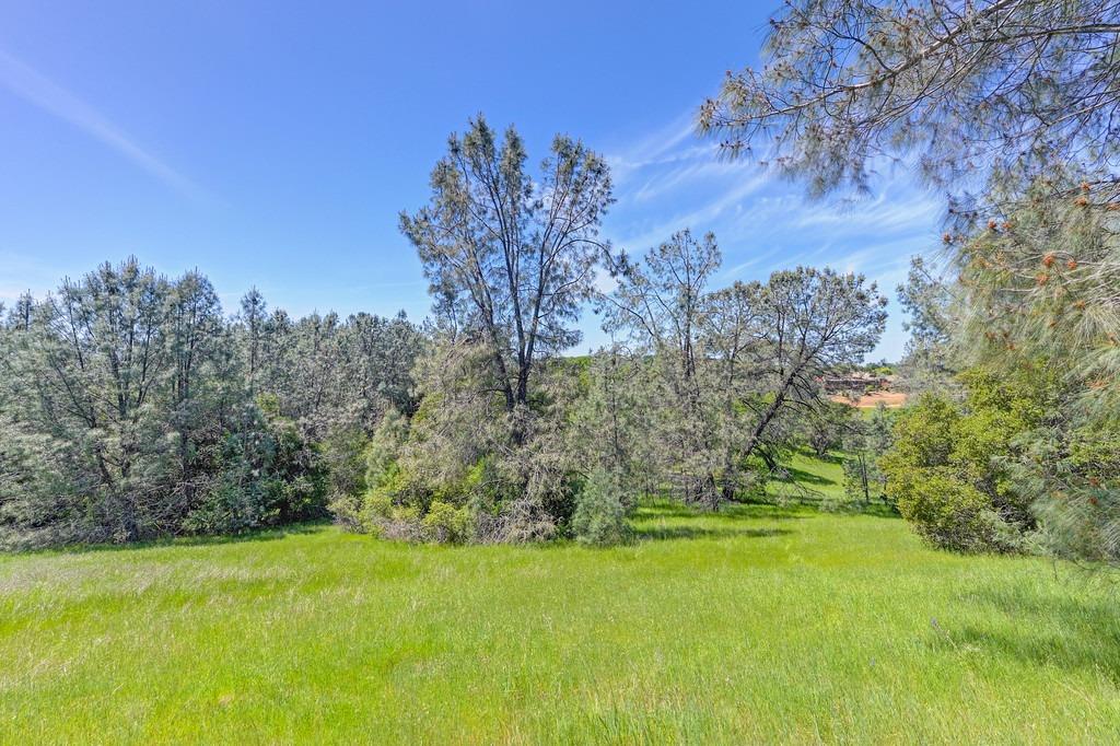 Detail Gallery Image 71 of 81 For 4875 Silk Tree Ln, Cool,  CA 95614 - 2 Beds | 2 Baths