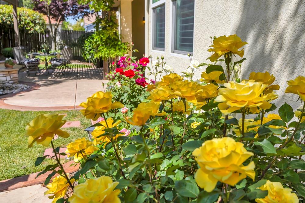 Detail Gallery Image 67 of 82 For 2312 Foster Ct, Woodland,  CA 95776 - 3 Beds | 2/1 Baths
