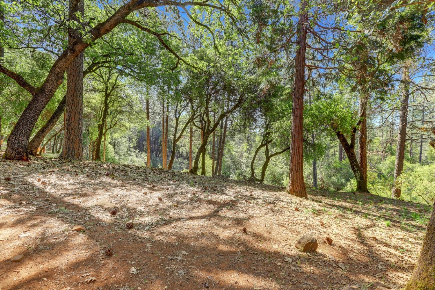 Detail Gallery Image 78 of 98 For 10450 S Ponderosa Way, Rough And Ready,  CA 95975 - 4 Beds | 3/1 Baths