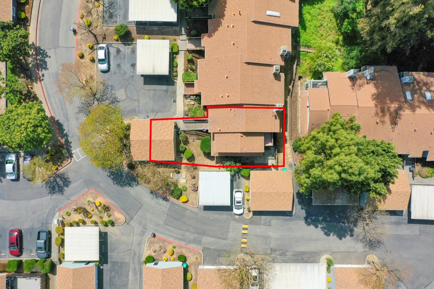 Monika Lane, Hayward, California image 43