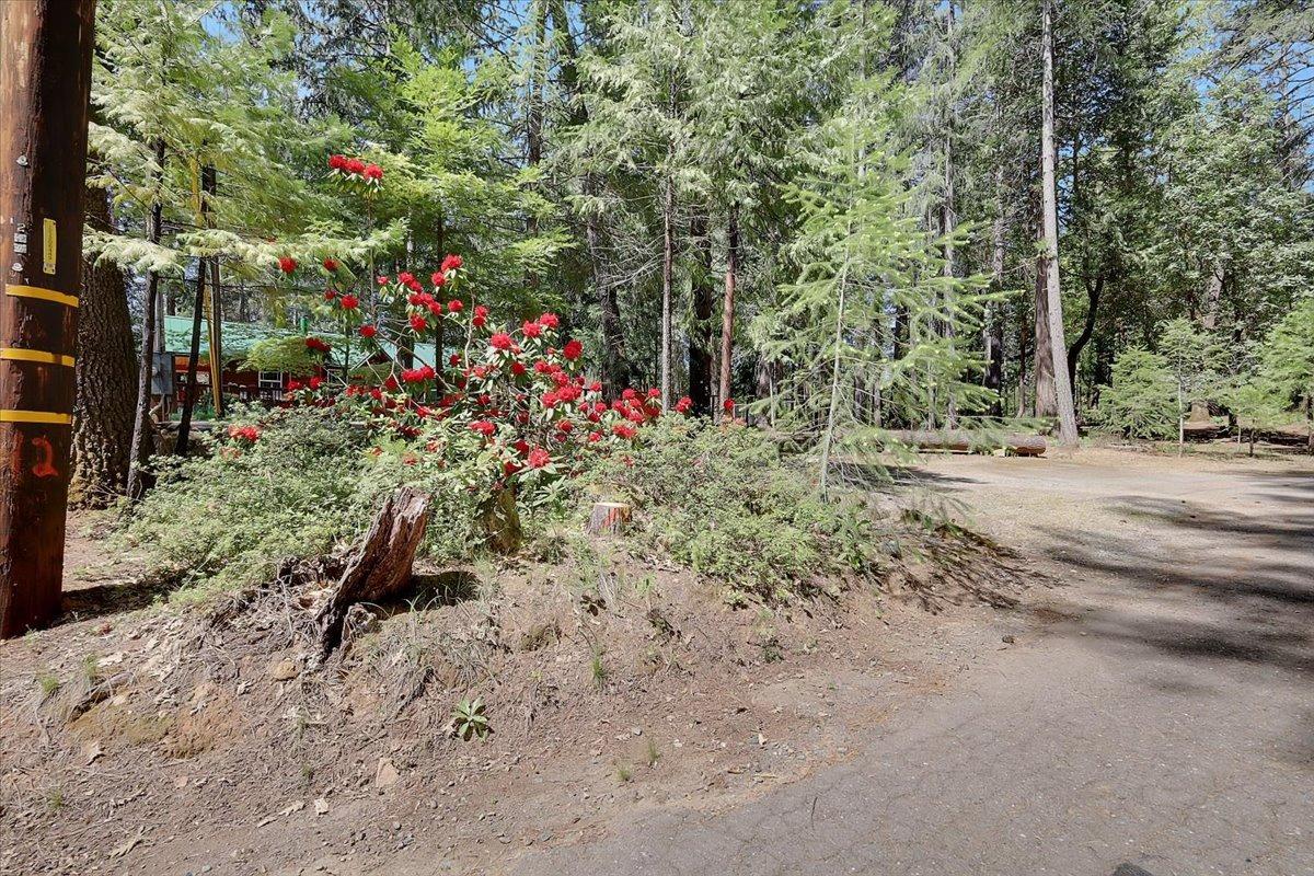 Detail Gallery Image 58 of 58 For 8834 Fallen Leaf Ct, Challenge,  CA 95925 - 2 Beds | 2 Baths
