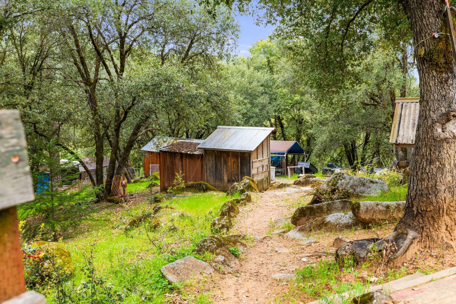 Detail Gallery Image 74 of 90 For 6432 Happy Valley Rd, Somerset,  CA 95684 - 4 Beds | 2/1 Baths