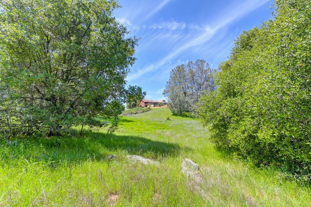 Detail Gallery Image 76 of 81 For 4875 Silk Tree Ln, Cool,  CA 95614 - 2 Beds | 2 Baths