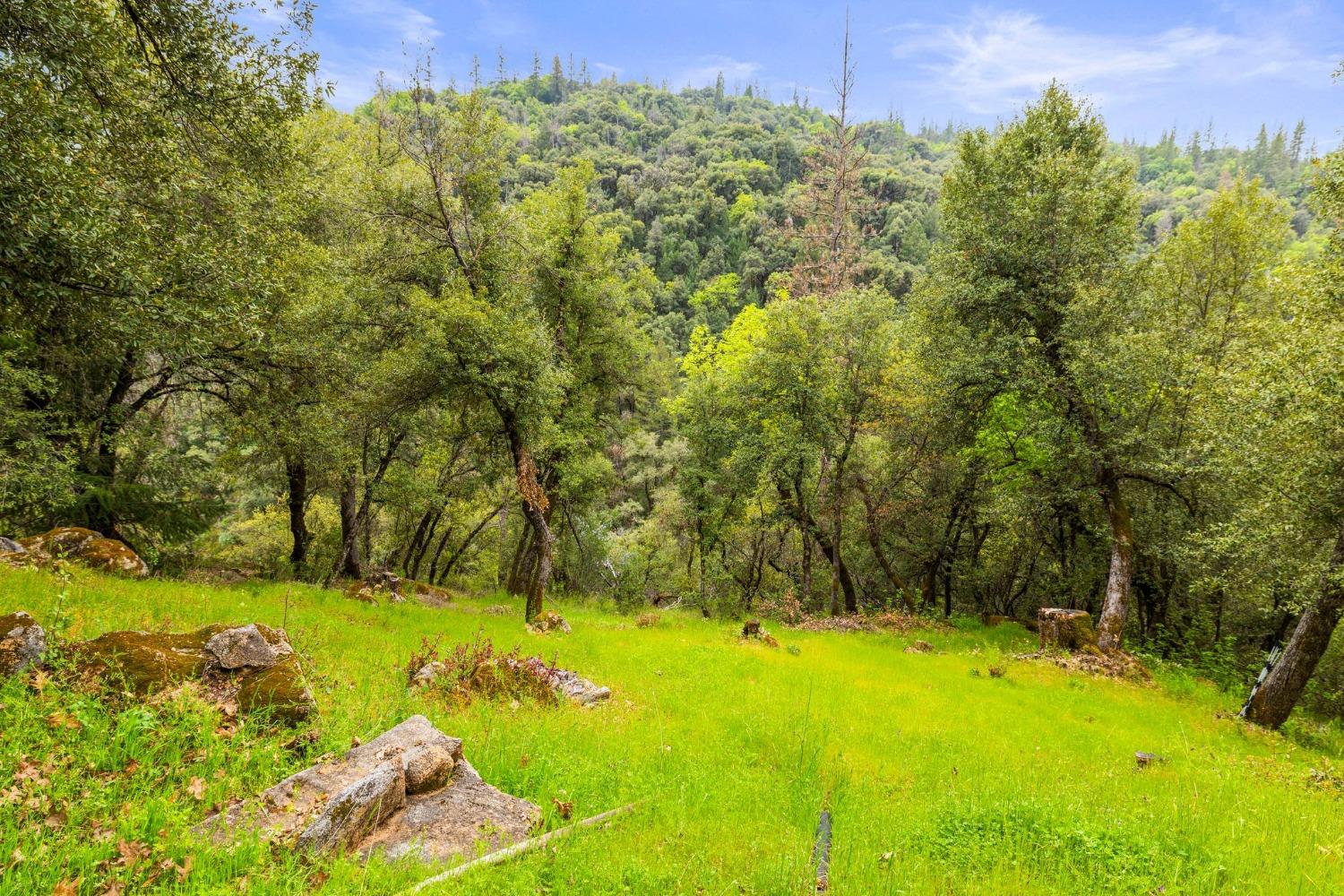 Detail Gallery Image 79 of 90 For 6432 Happy Valley Rd, Somerset,  CA 95684 - 4 Beds | 2/1 Baths