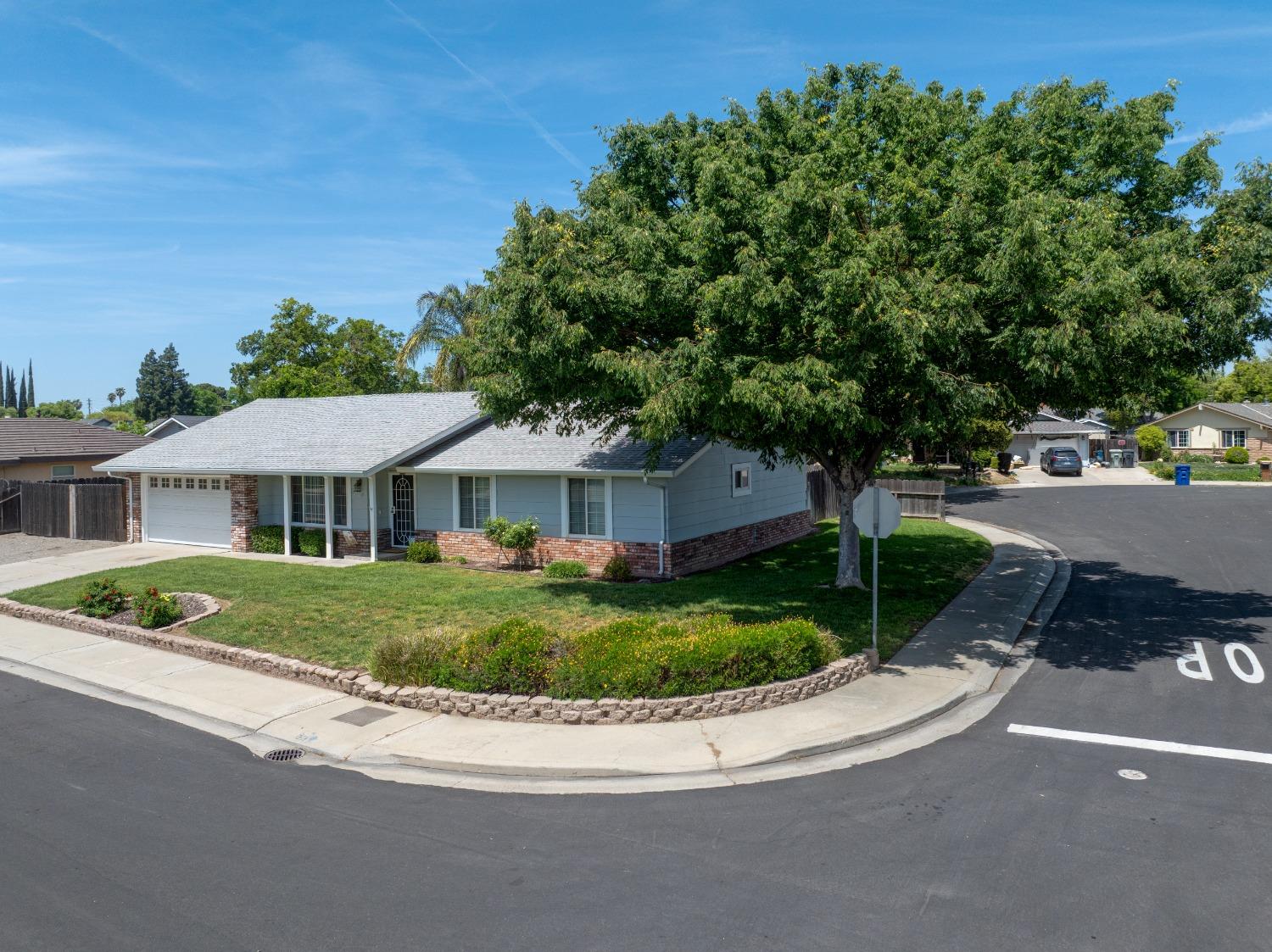 Darlene Lane, Modesto, California image 6