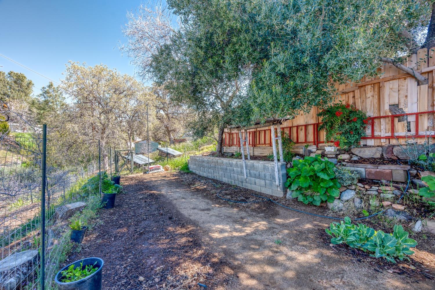 Balsam Drive, Bodfish, California image 34
