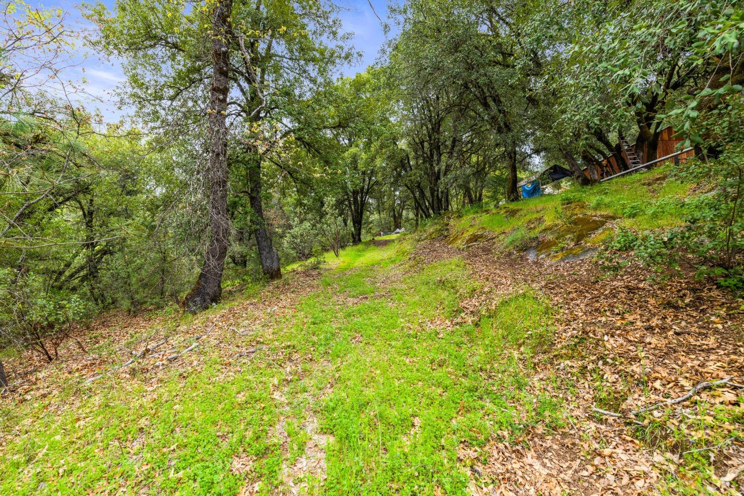 Detail Gallery Image 22 of 90 For 6432 Happy Valley Rd, Somerset,  CA 95684 - 4 Beds | 2/1 Baths