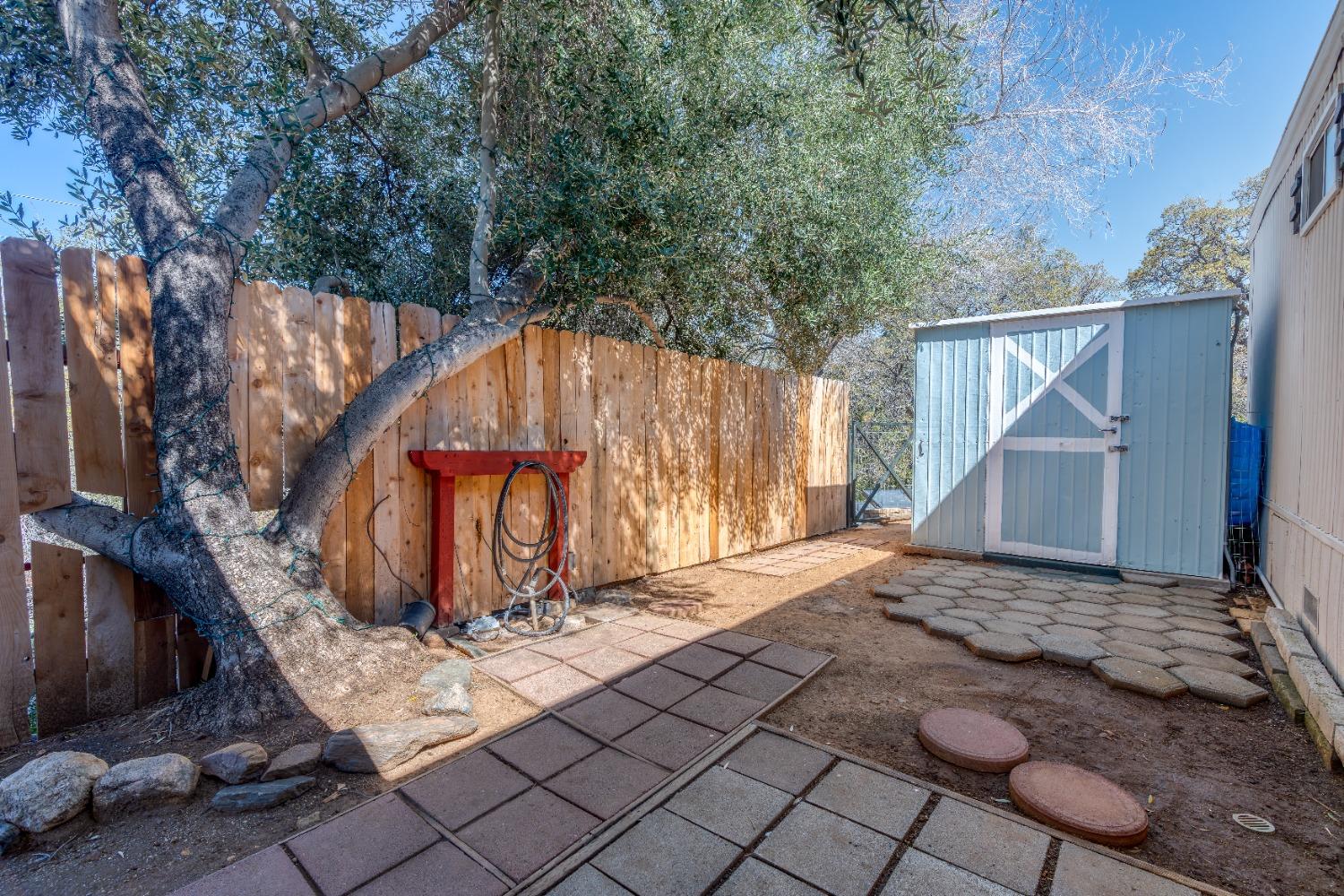Balsam Drive, Bodfish, California image 28