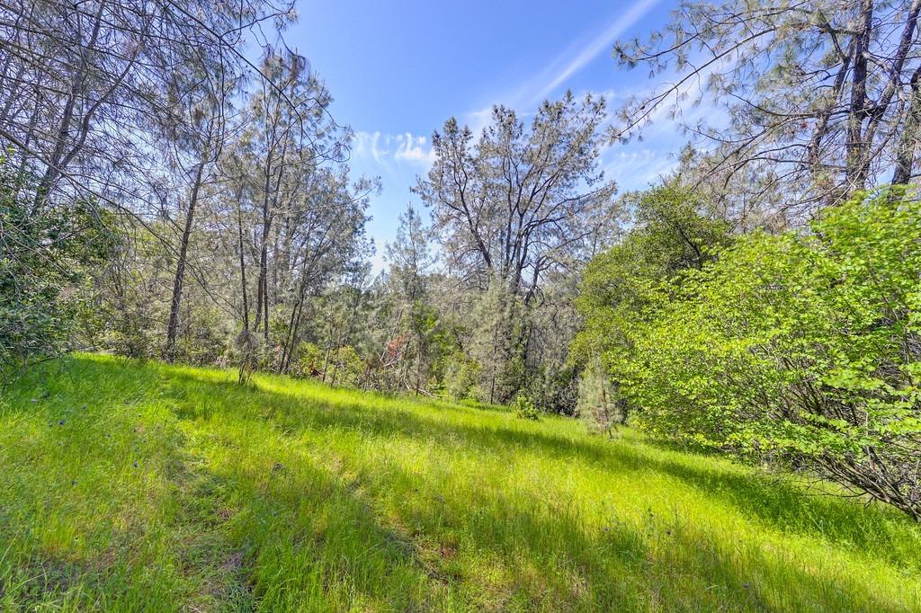Detail Gallery Image 73 of 81 For 4875 Silk Tree Ln, Cool,  CA 95614 - 2 Beds | 2 Baths