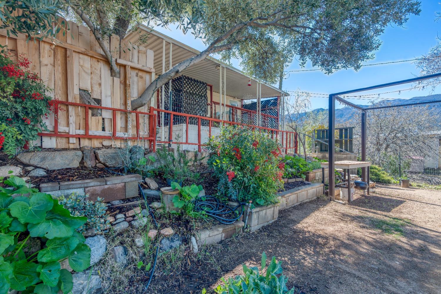 Balsam Drive, Bodfish, California image 36