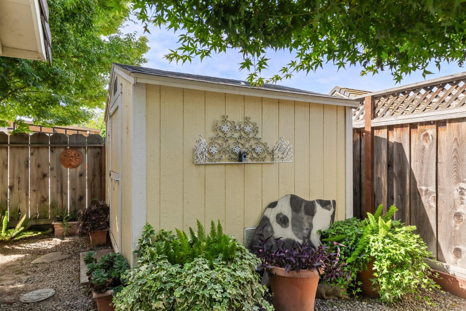Detail Gallery Image 51 of 55 For 3935 Michelle Lynn Ct, Turlock,  CA 95382 - 3 Beds | 2 Baths