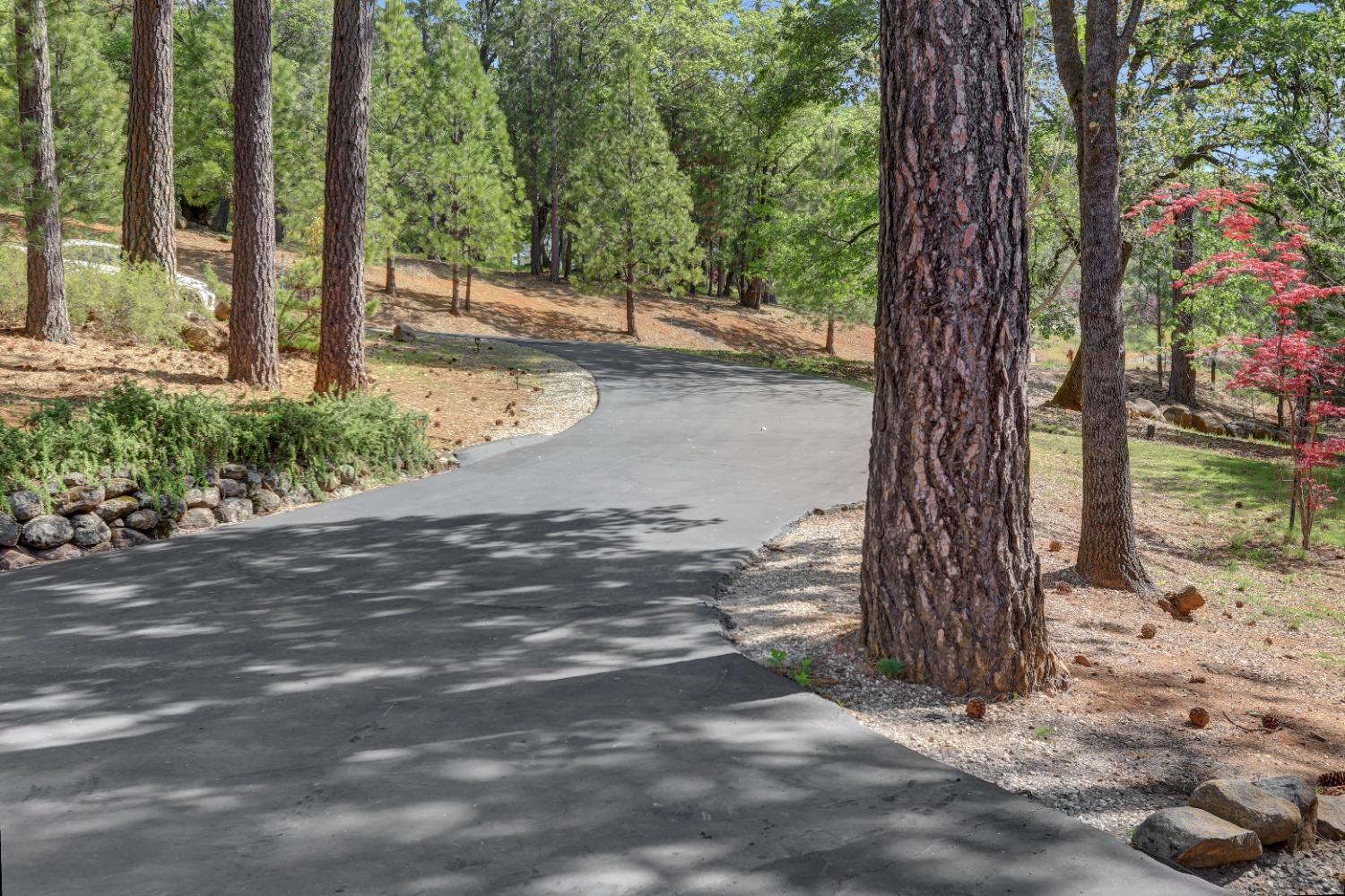 Detail Gallery Image 95 of 98 For 10450 S Ponderosa Way, Rough And Ready,  CA 95975 - 4 Beds | 3/1 Baths