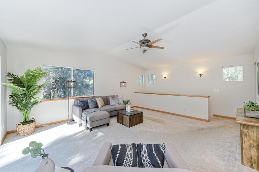 Detail Gallery Image 54 of 78 For 12210 Irish Ct, Jackson,  CA 95642 - 4 Beds | 2/1 Baths