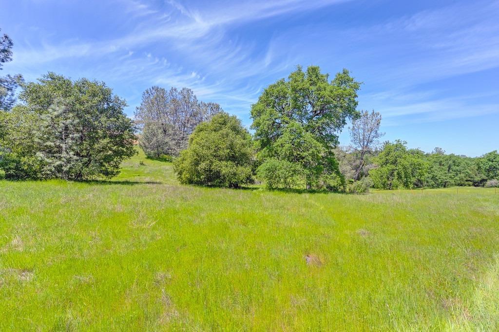 Detail Gallery Image 75 of 81 For 4875 Silk Tree Ln, Cool,  CA 95614 - 2 Beds | 2 Baths