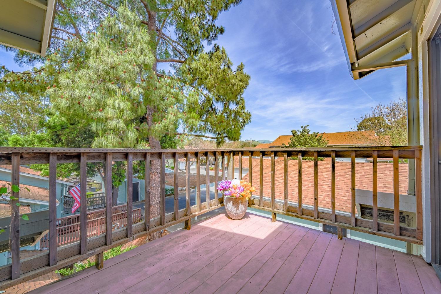 Monika Lane, Hayward, California image 40