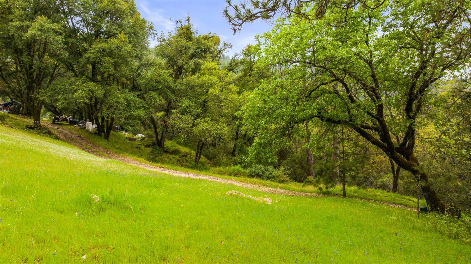 Detail Gallery Image 14 of 90 For 6432 Happy Valley Rd, Somerset,  CA 95684 - 4 Beds | 2/1 Baths