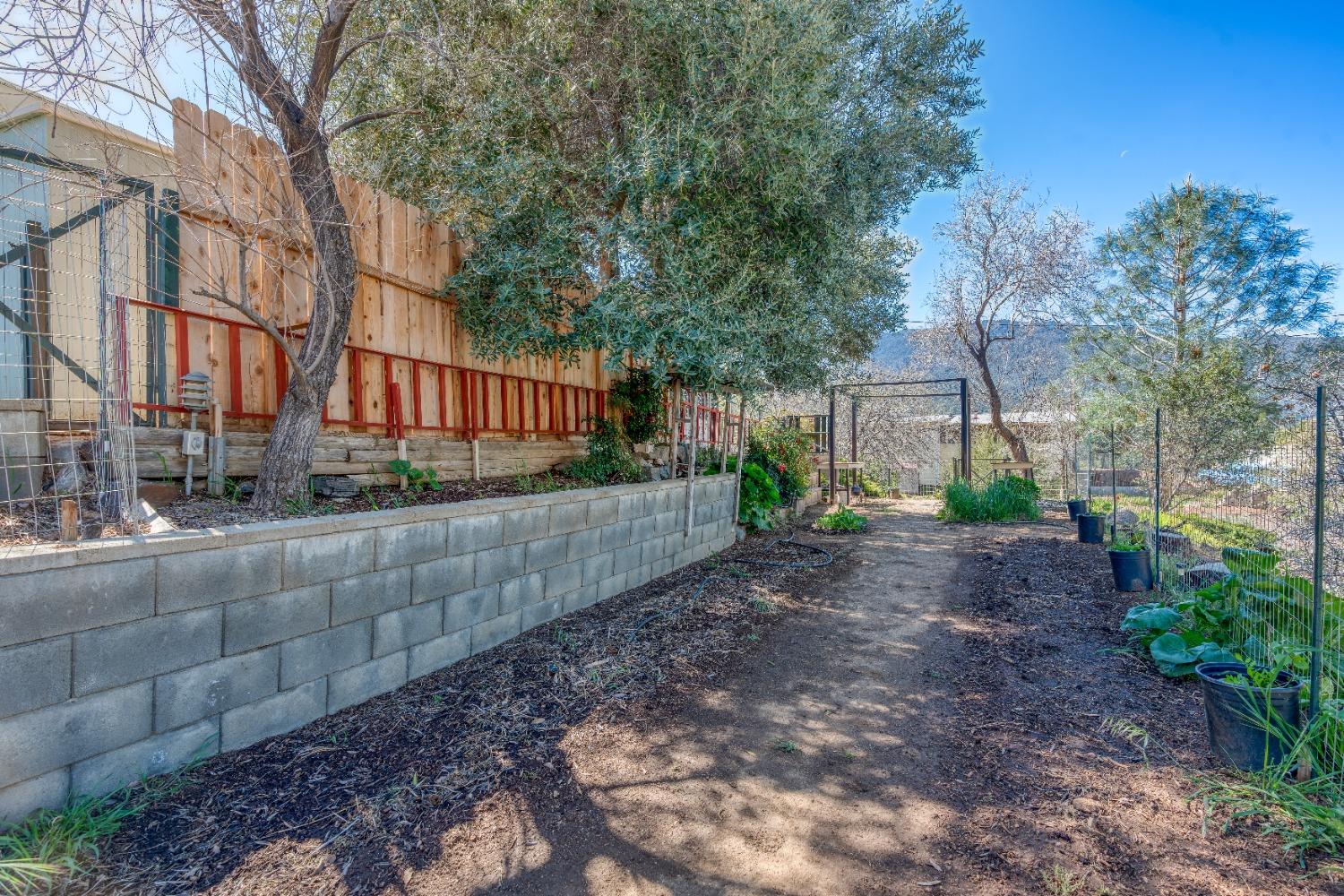 Balsam Drive, Bodfish, California image 35