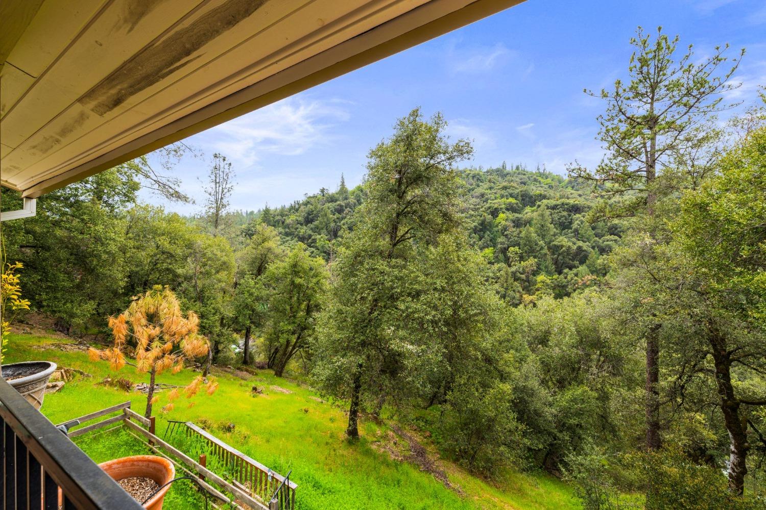 Detail Gallery Image 80 of 90 For 6432 Happy Valley Rd, Somerset,  CA 95684 - 4 Beds | 2/1 Baths