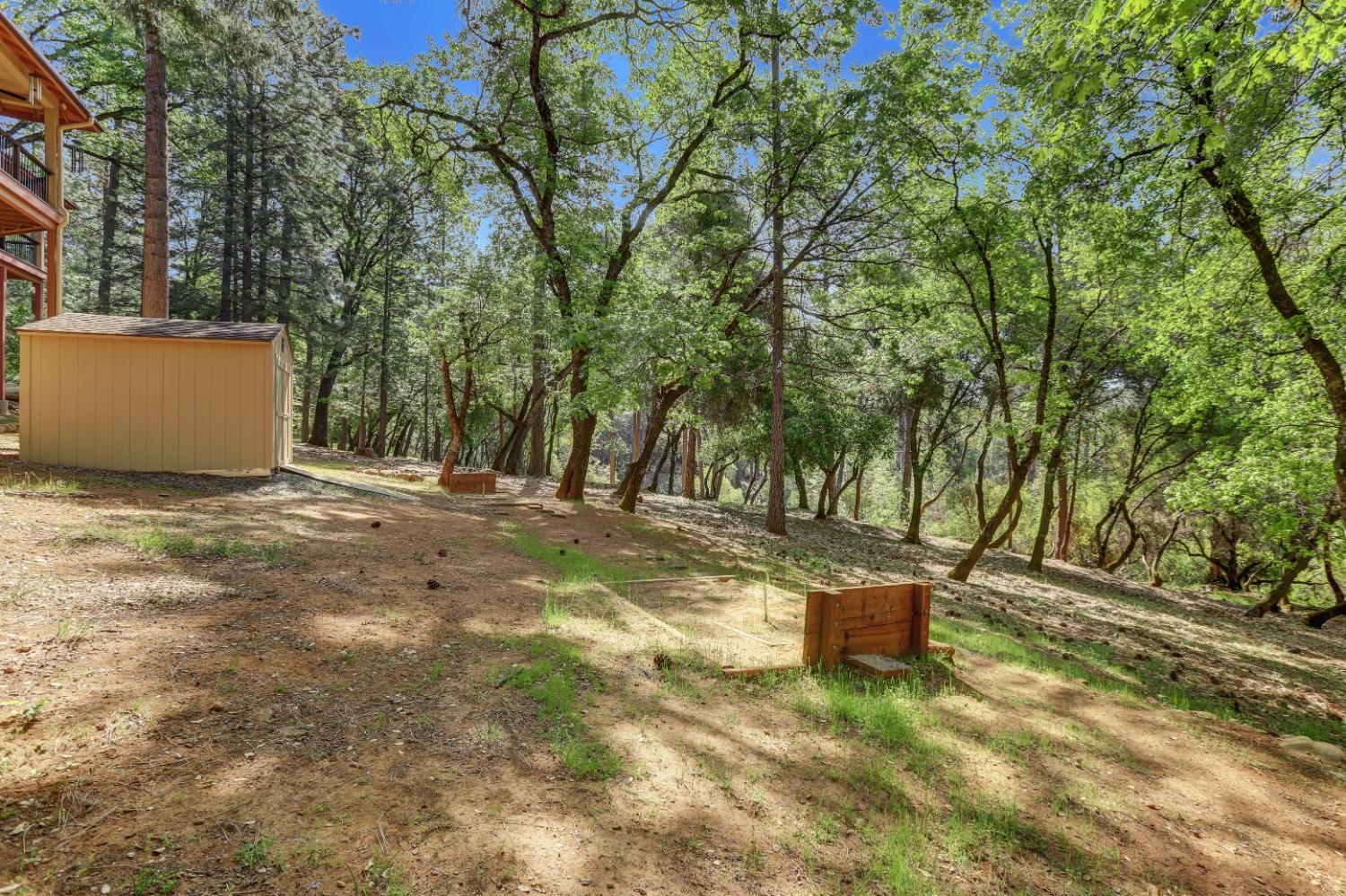 Detail Gallery Image 76 of 98 For 10450 S Ponderosa Way, Rough And Ready,  CA 95975 - 4 Beds | 3/1 Baths