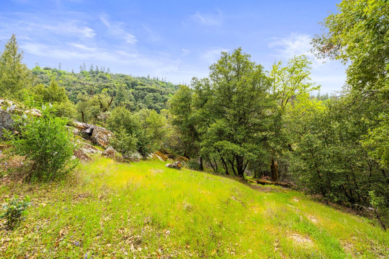 Detail Gallery Image 77 of 90 For 6432 Happy Valley Rd, Somerset,  CA 95684 - 4 Beds | 2/1 Baths