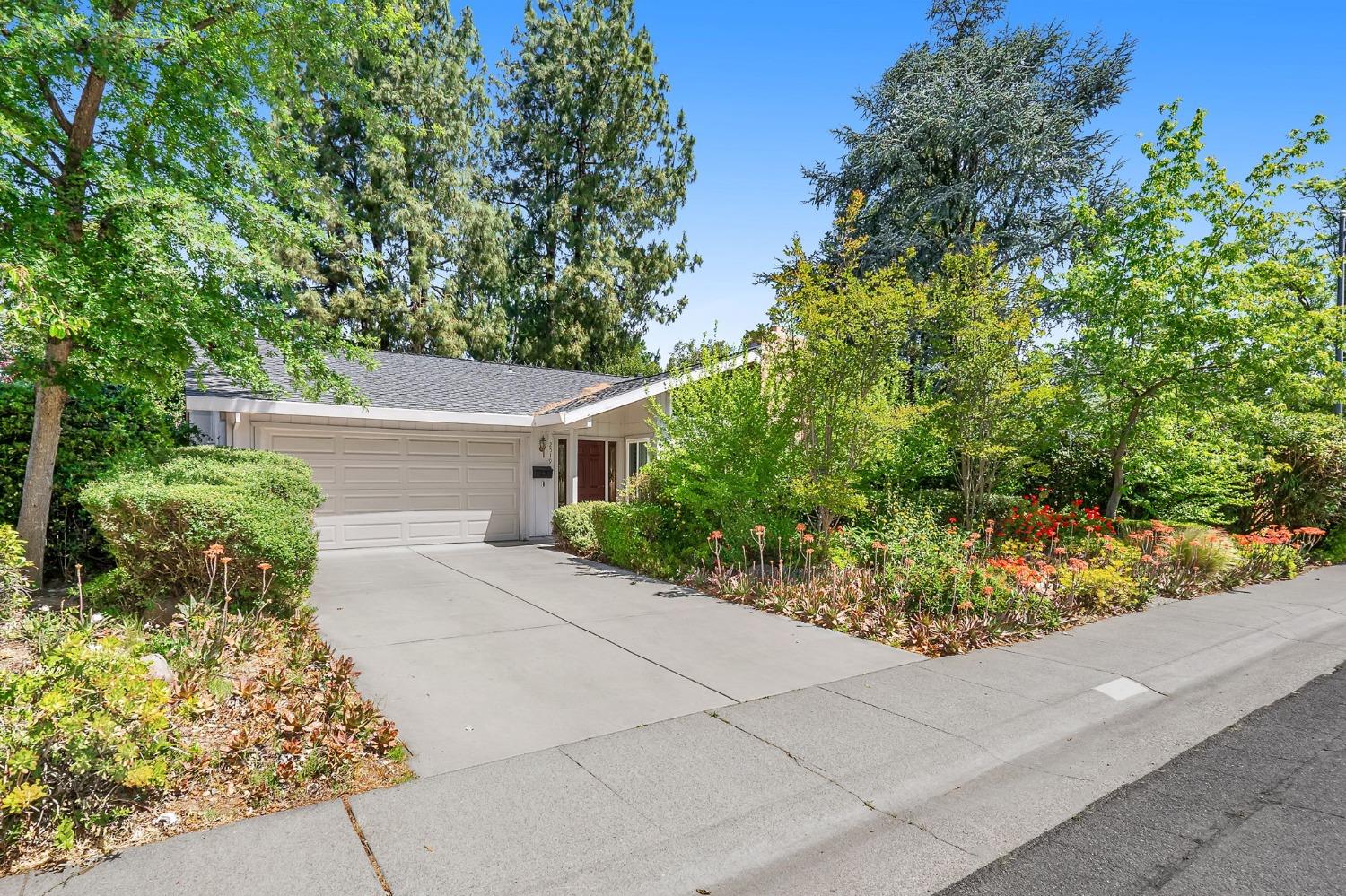 Corona Drive, Davis, California image 2