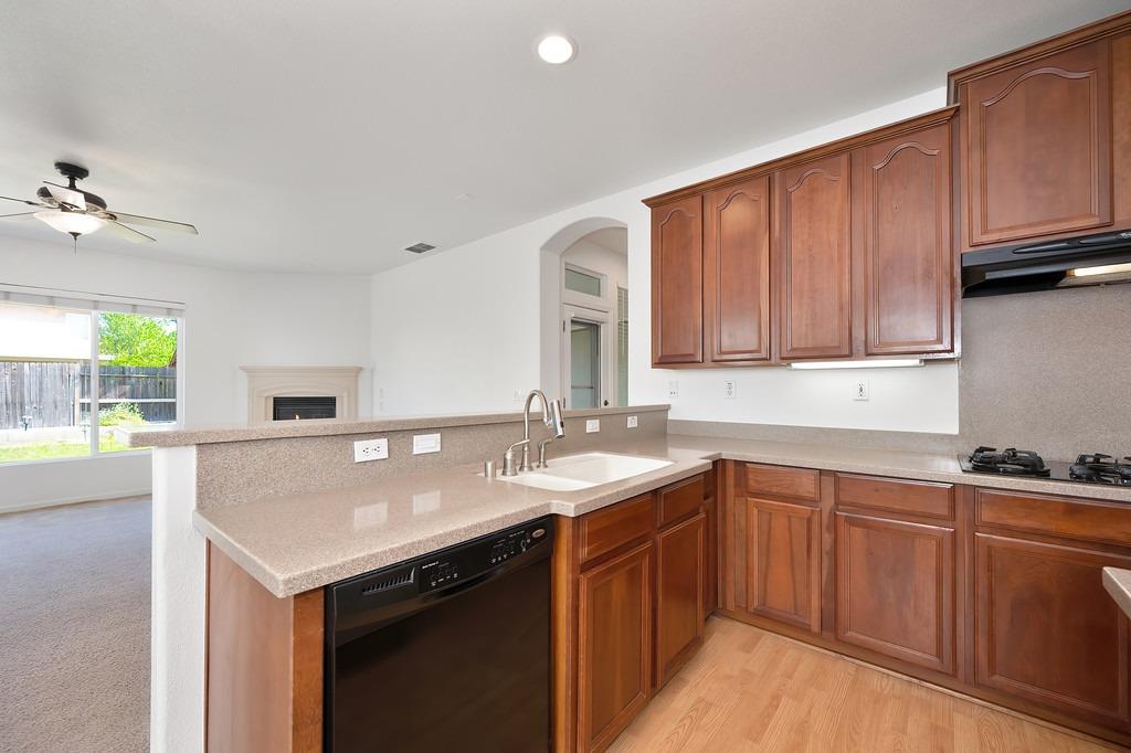 Tarpan Court, Elk Grove, California image 19