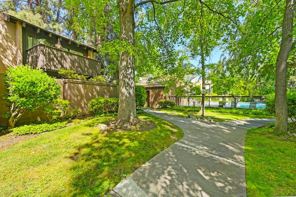 Photo #6: 225051785 Listing: Photo #6