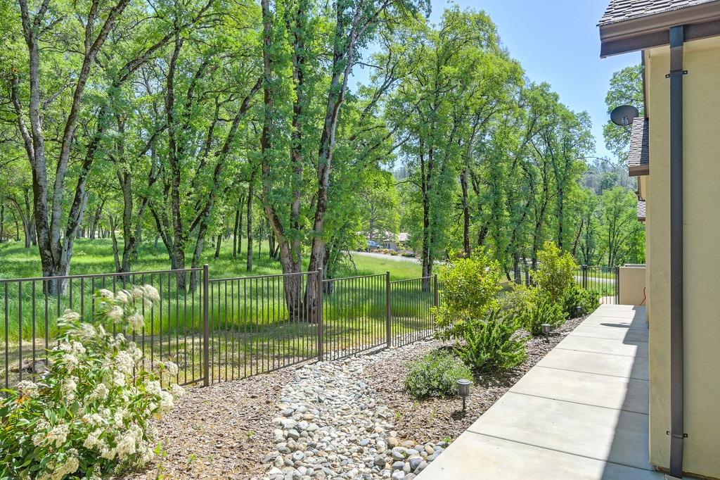 Austin Forest Circle, Auburn, California image 45