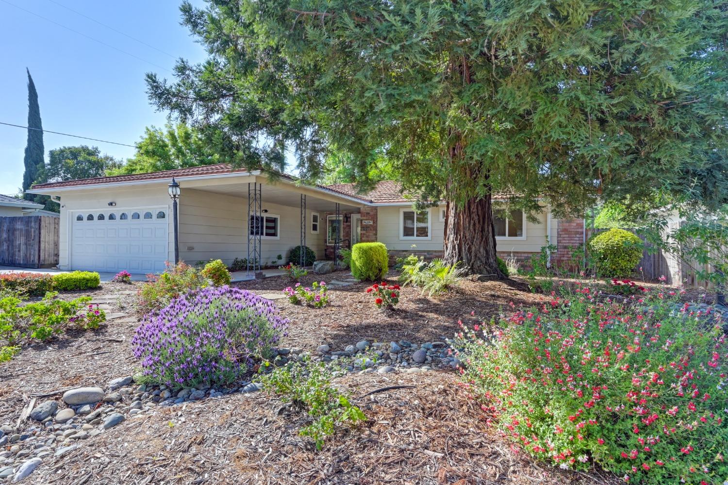 Shadowcreek Drive, Carmichael, California image 3