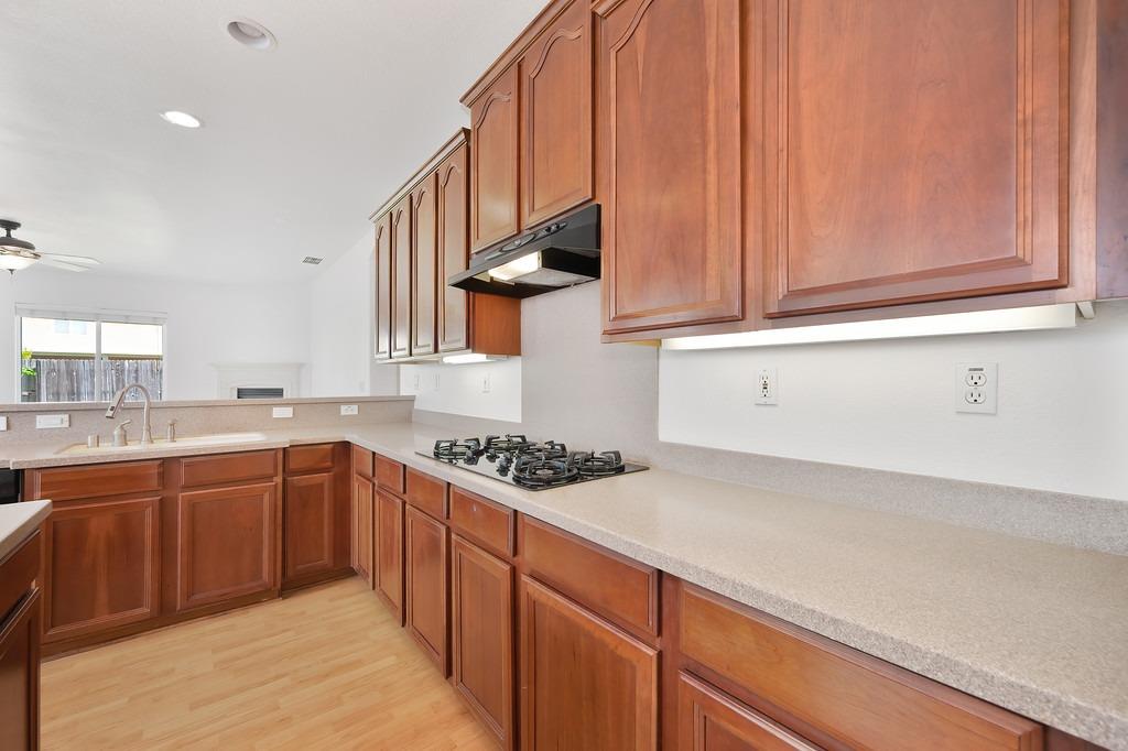 Tarpan Court, Elk Grove, California image 17