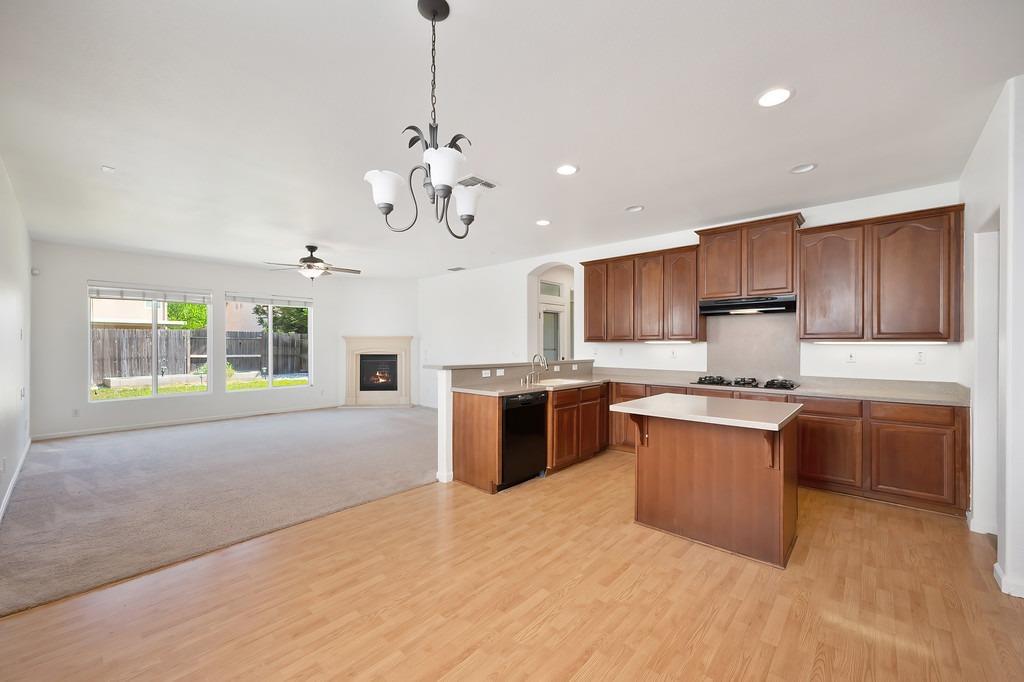 Tarpan Court, Elk Grove, California image 22