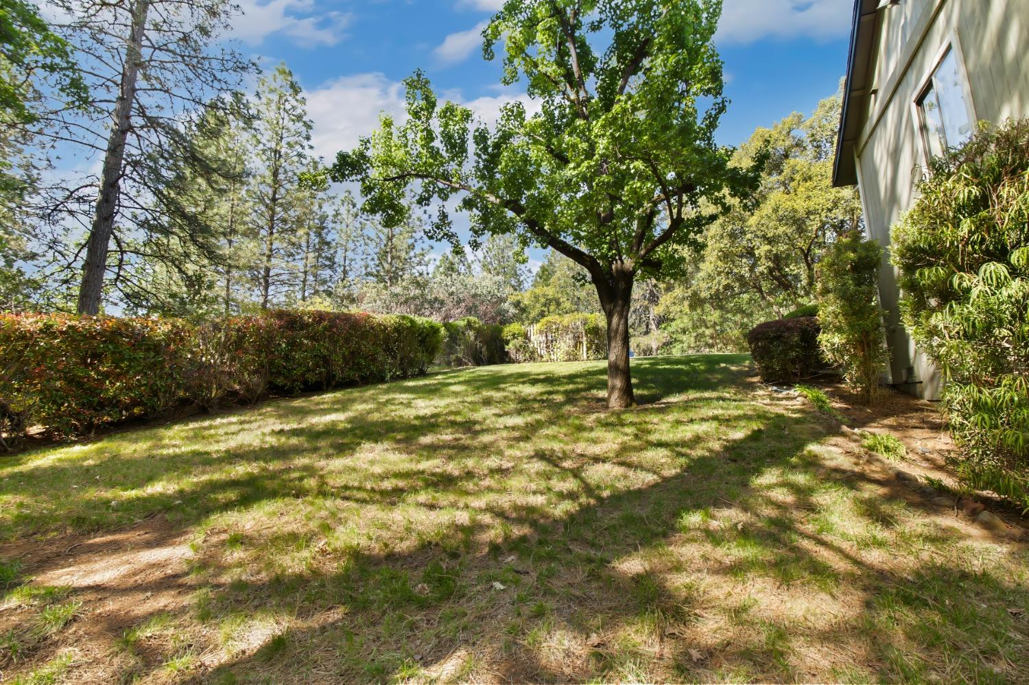 Detail Gallery Image 63 of 66 For 515 Hillside Dr, Applegate,  CA 95703 - 4 Beds | 3 Baths