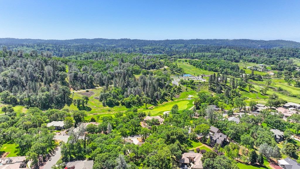 Austin Forest Circle, Auburn, California image 50