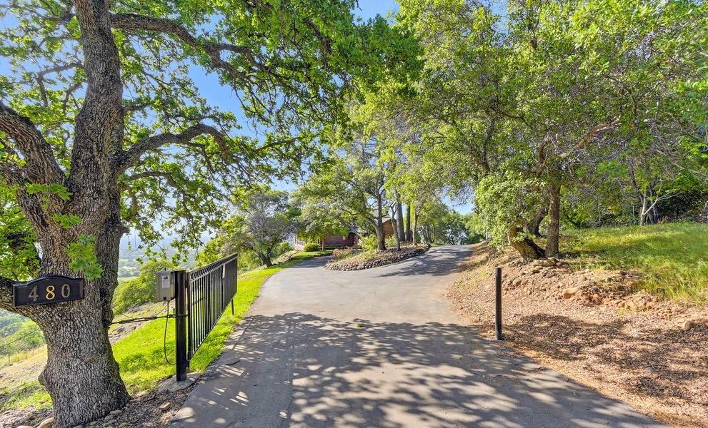 Oak View Road, Newcastle, California image 2