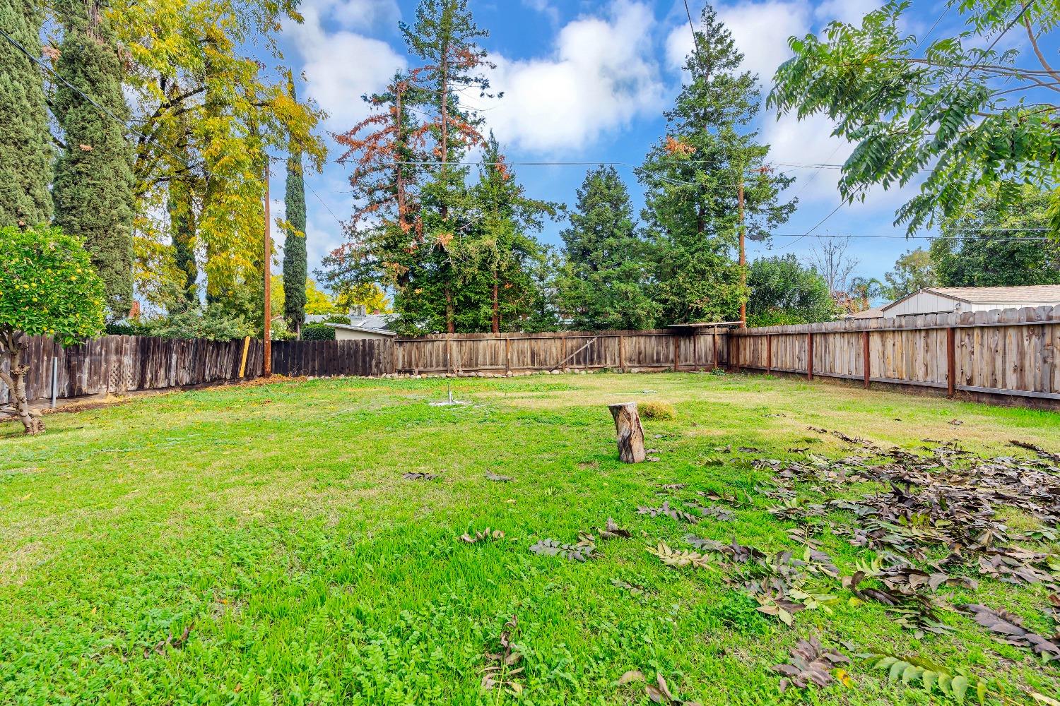 Marthella Avenue, Merced, California image 22