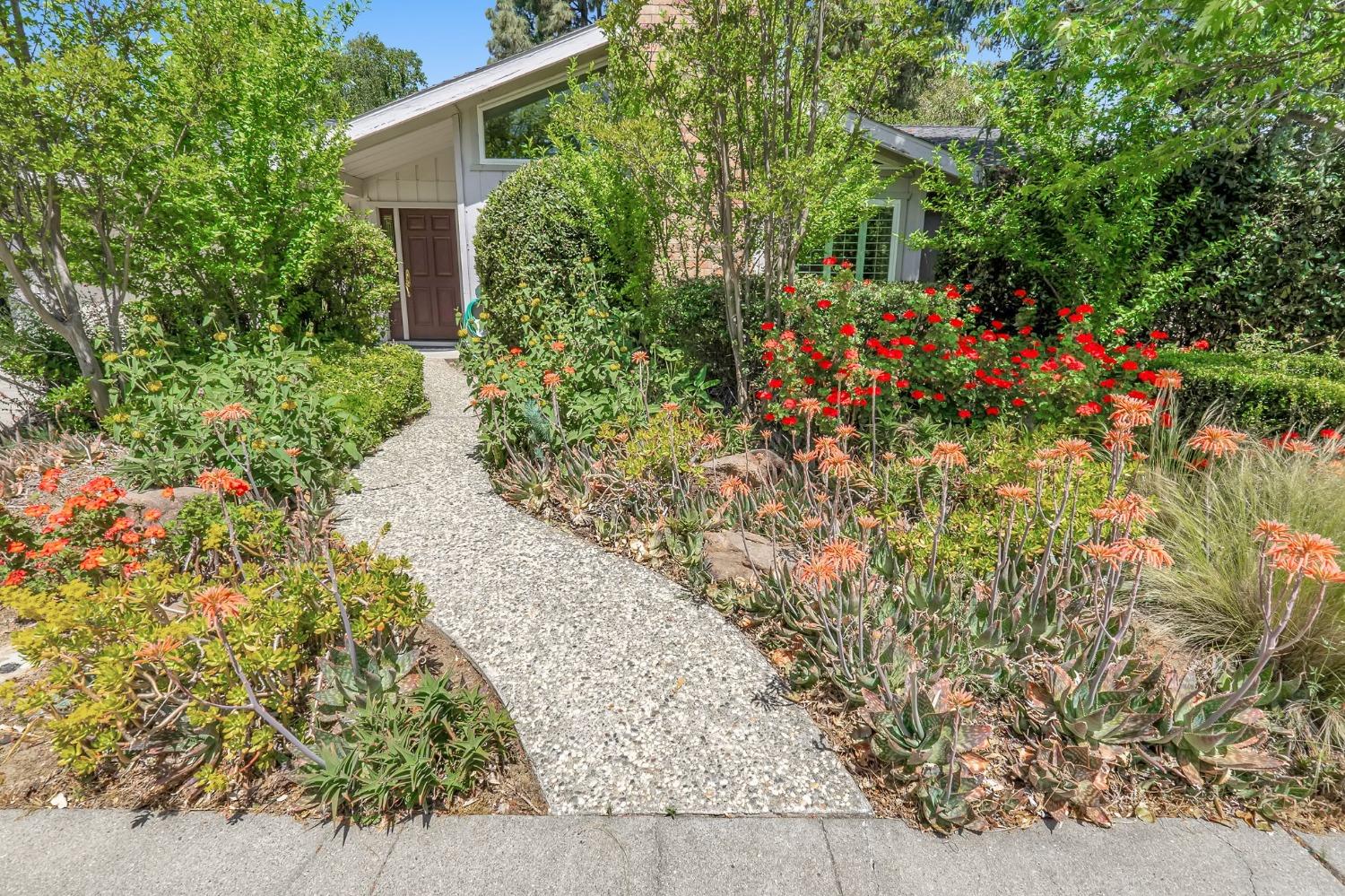Corona Drive, Davis, California image 3