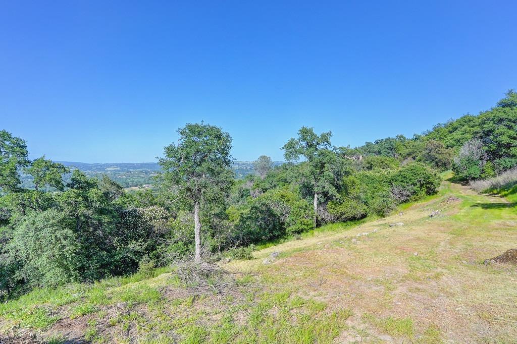 Oak View Road, Newcastle, California image 38