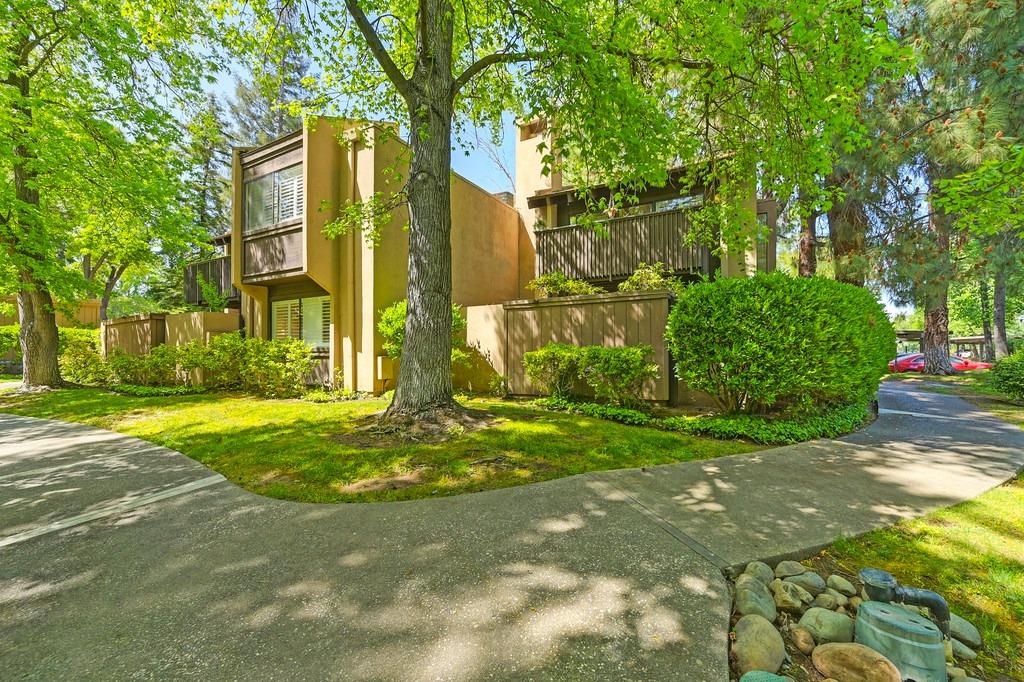 Photo #8: 225051785 Listing: Photo #8