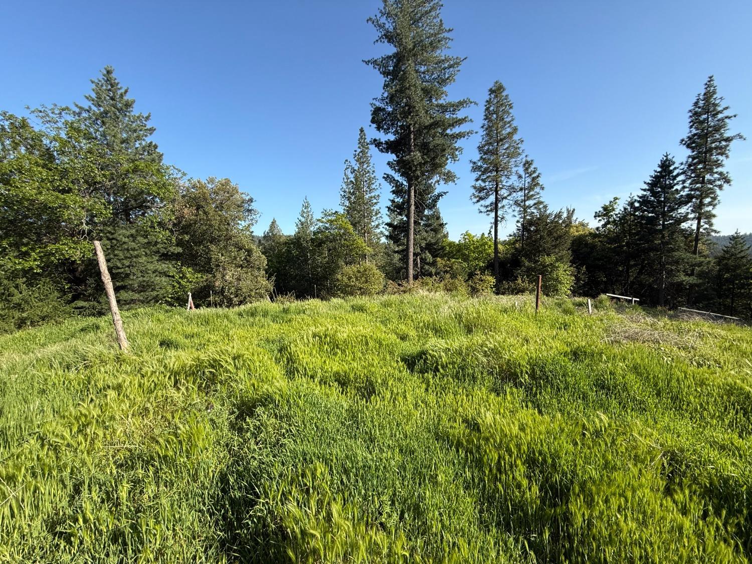 Grizzly Creek Road, Nevada City, California image 1
